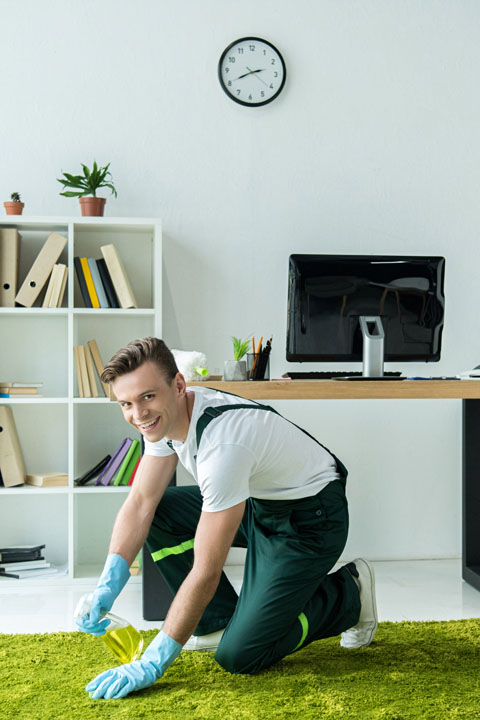 carpet cleaning