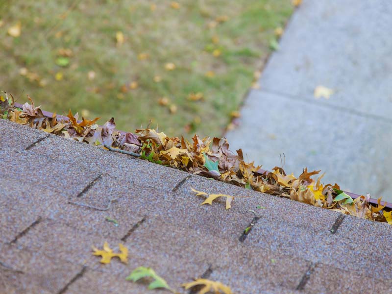 gutter cleaning